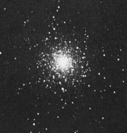 [m79.jpg]