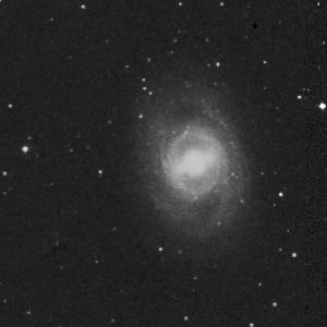 [m95ds12.jpg]