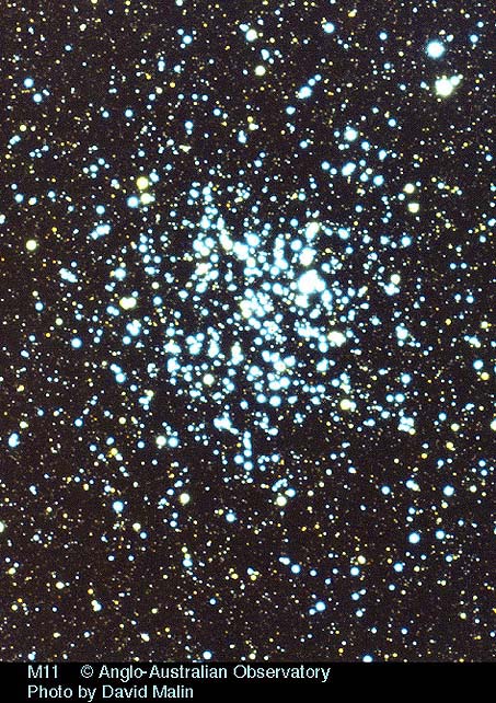 [AAT image of M11 (JPG)]