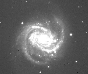 [M100 CCD image]