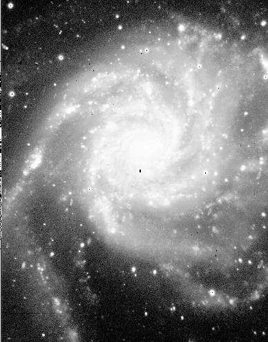 [M101, Greg Bothun]