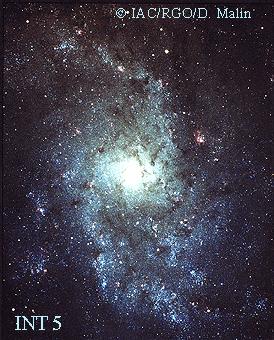 [M33, INT 5, David Malin]