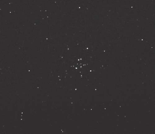 [M34, M. Oates/MAS]