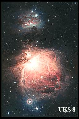 [M42/M43 region, UKS 8, old scan]