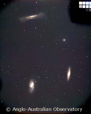 [M66 group, AAT 103]