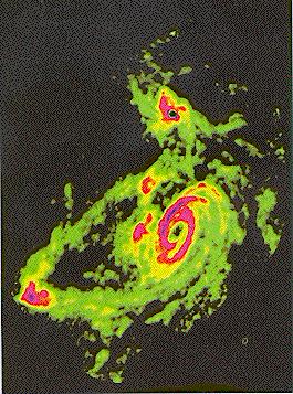 [M81 group radio image]