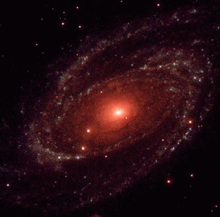 [M81, XMM Newton]