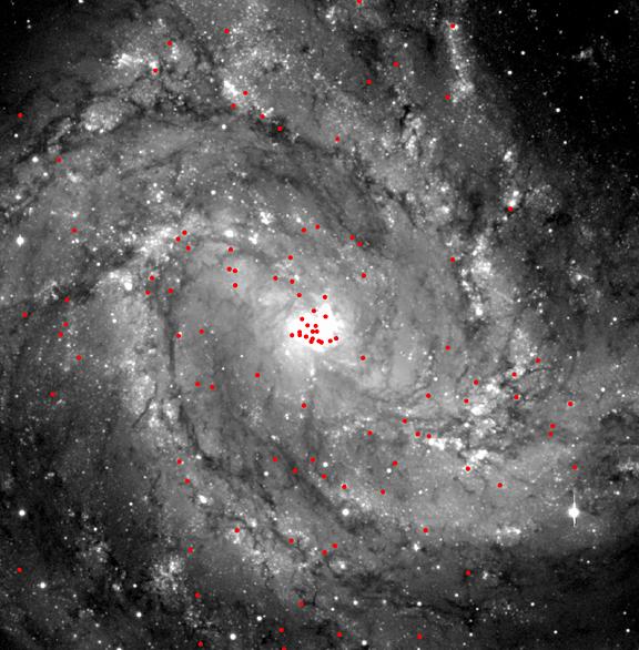 [M83 inner region, CXO]