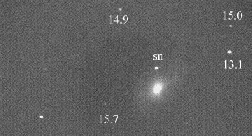 [SN 1998bu discovery image]
