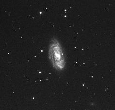 [NGC 3953 image]