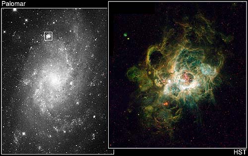 [NGC  604 image]