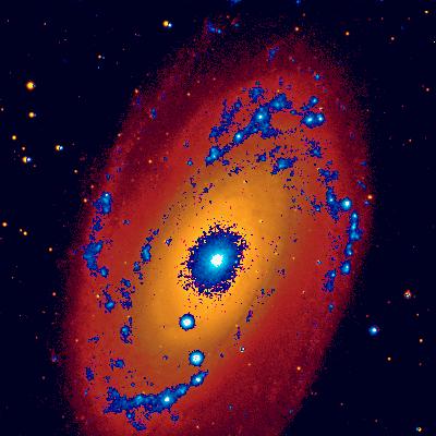 Astro-1 UIT images of M81 picture