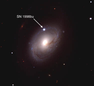 [CTIO image of SN 1998bu]