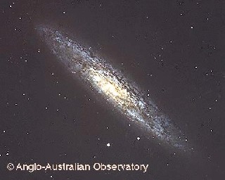 [NGC  253 image]