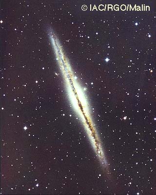 [NGC  891 image]