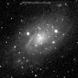 [NGC 2403 image]