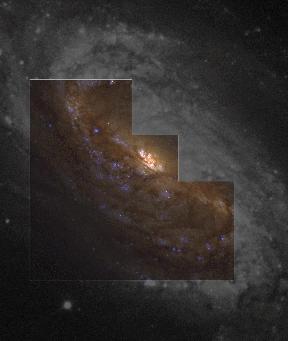 [NGC 2903 image]