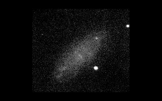 [NGC 2976 image]
